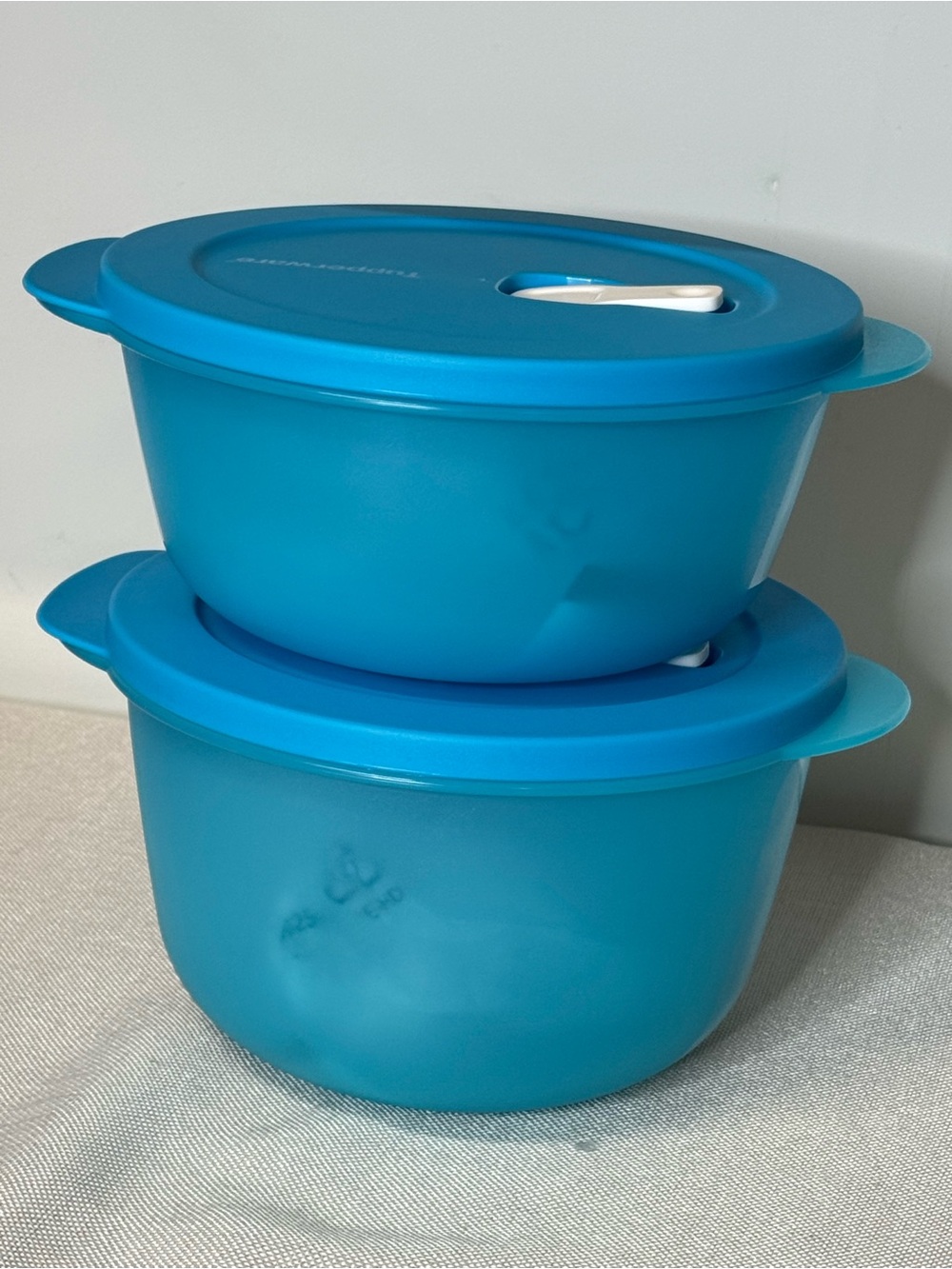 Blue Plastic Food Storage Bowls with Lids (Set of 2)